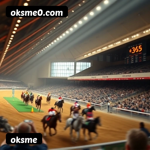 Cassino Online oksme